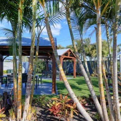 A sunny view of a tropical garden area, framed by palm trees and brightly coloured foliage
